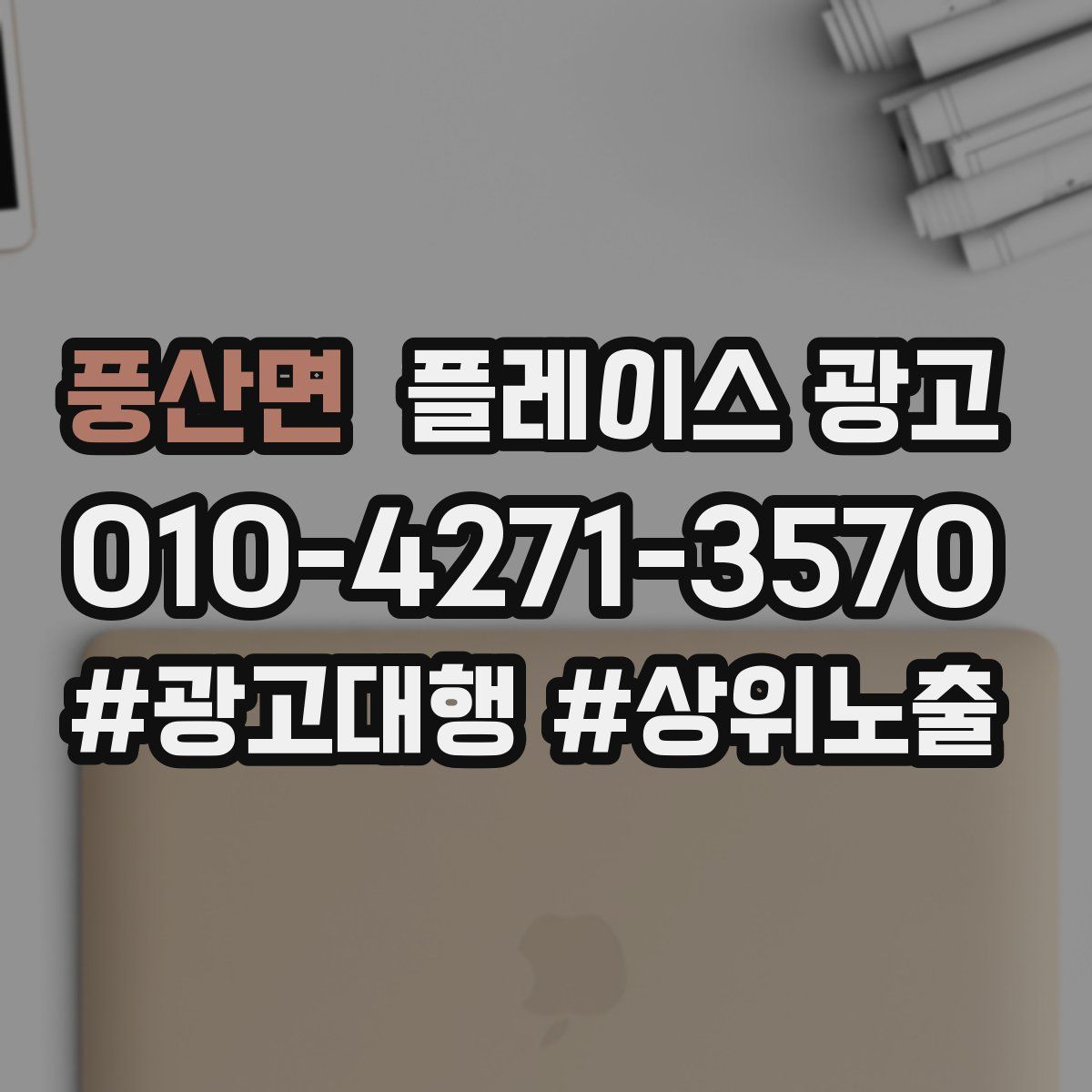 풍산면 플레이스 광고