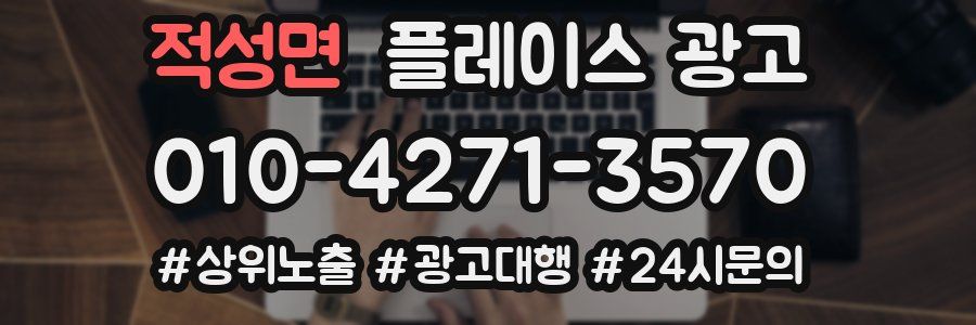 적성면 플레이스 광고