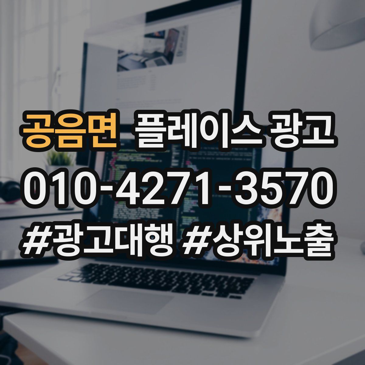 공음면 플레이스 광고