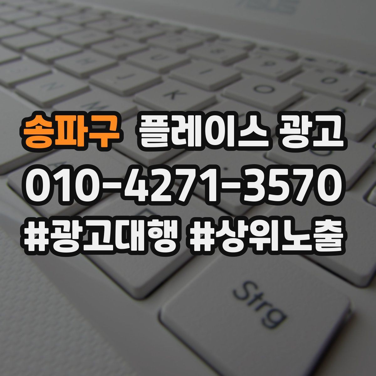 송파구 플레이스 광고
