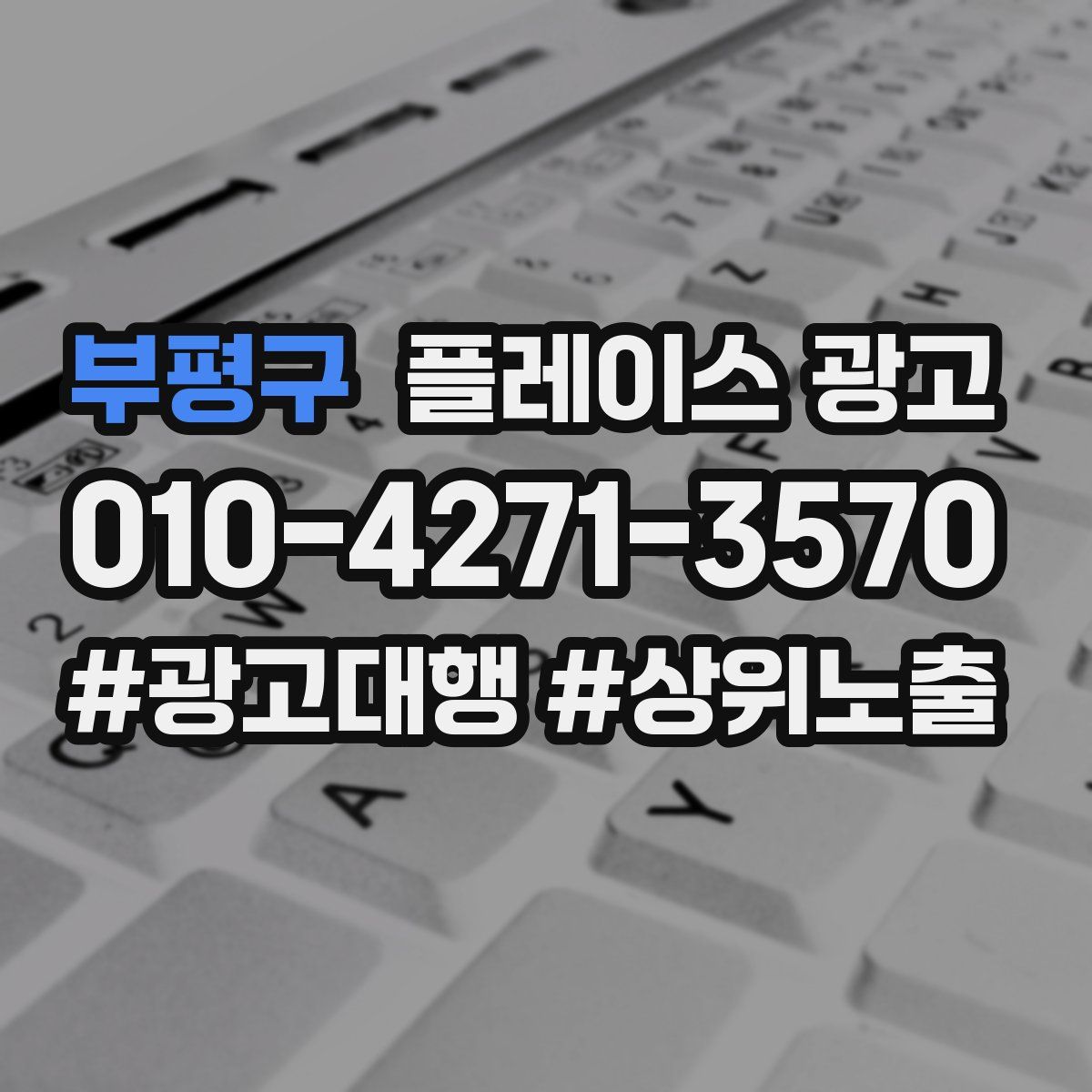 부평구 플레이스 광고