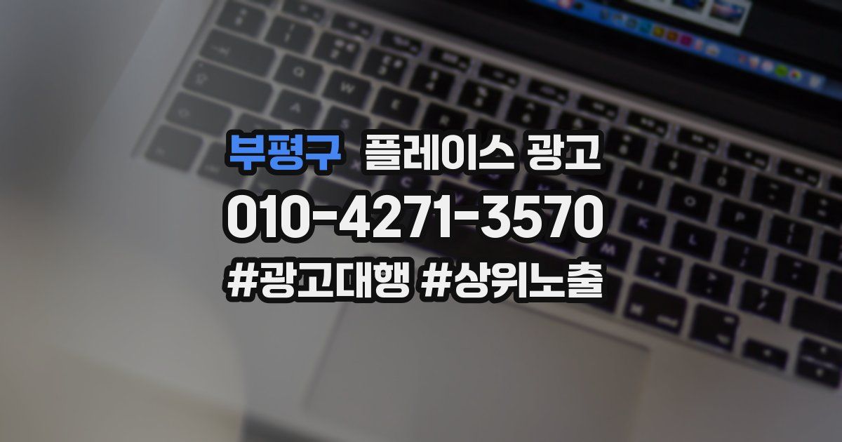 부평구 플레이스 광고