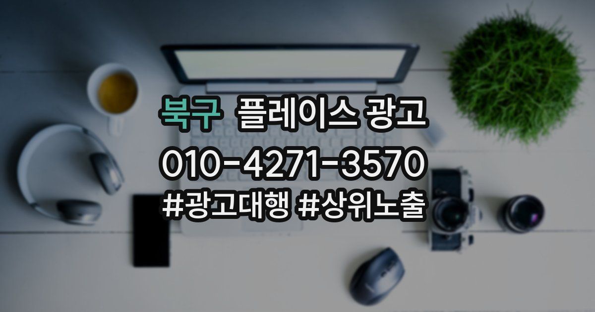 북구 플레이스 광고