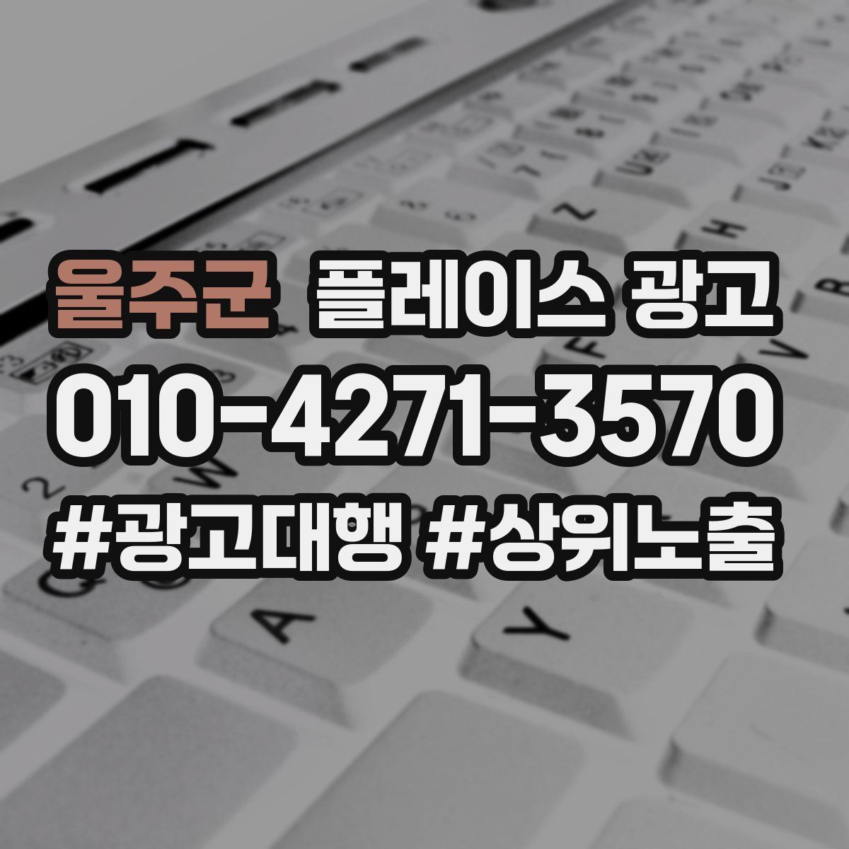 울주군 플레이스 광고