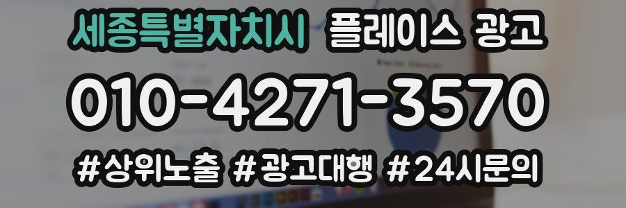 세종특별자치시 플레이스 광고