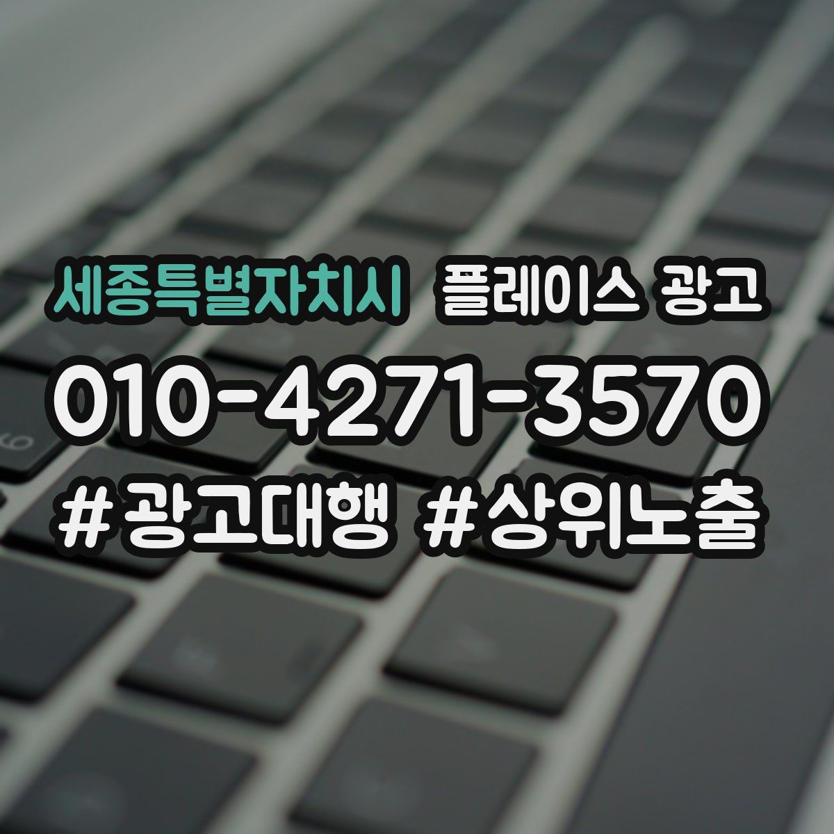 세종특별자치시 플레이스 광고