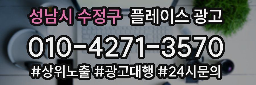 성남시 수정구 플레이스 광고