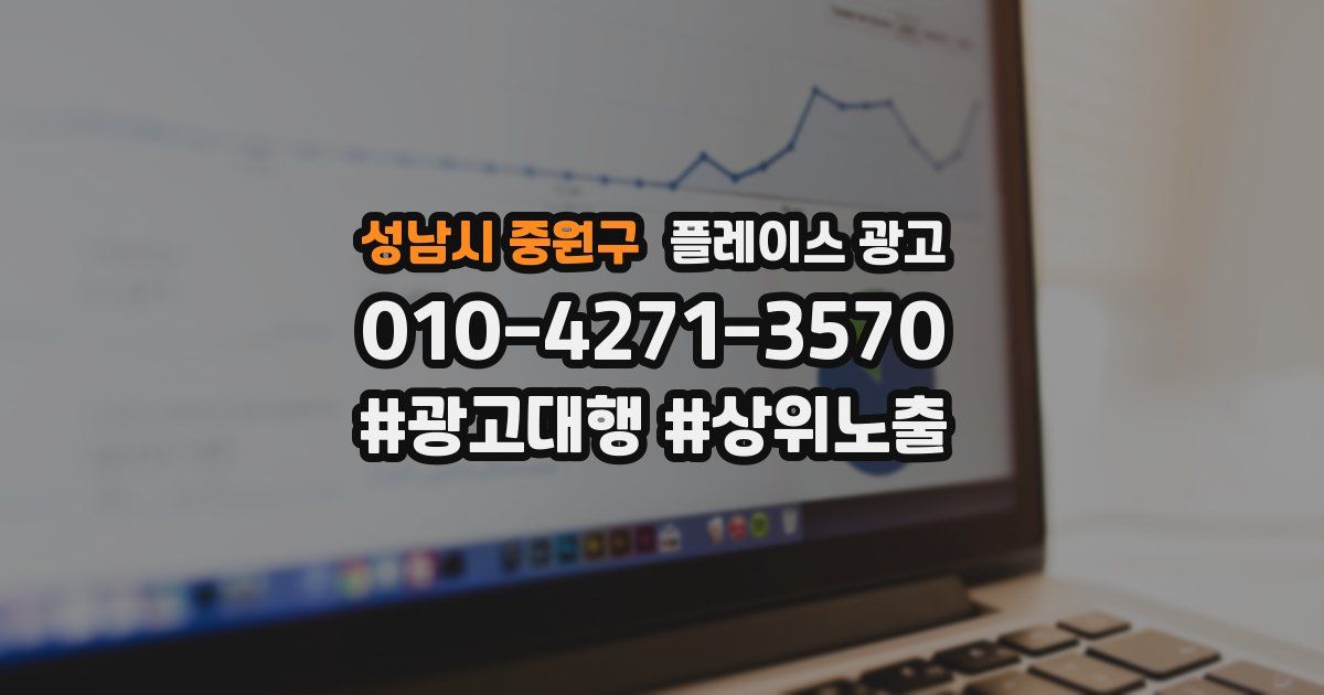 성남시 중원구 플레이스 광고