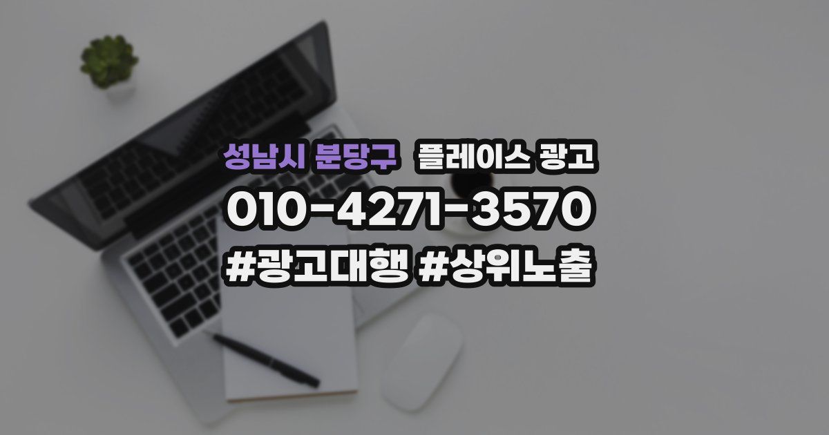 성남시 분당구 플레이스 광고