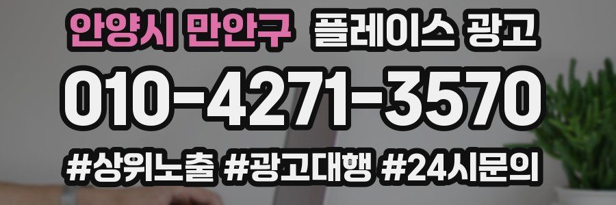 안양시 만안구 플레이스 광고