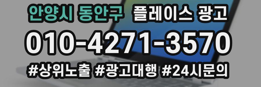 안양시 동안구 플레이스 광고