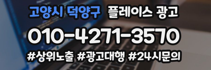 고양시 덕양구 플레이스 광고