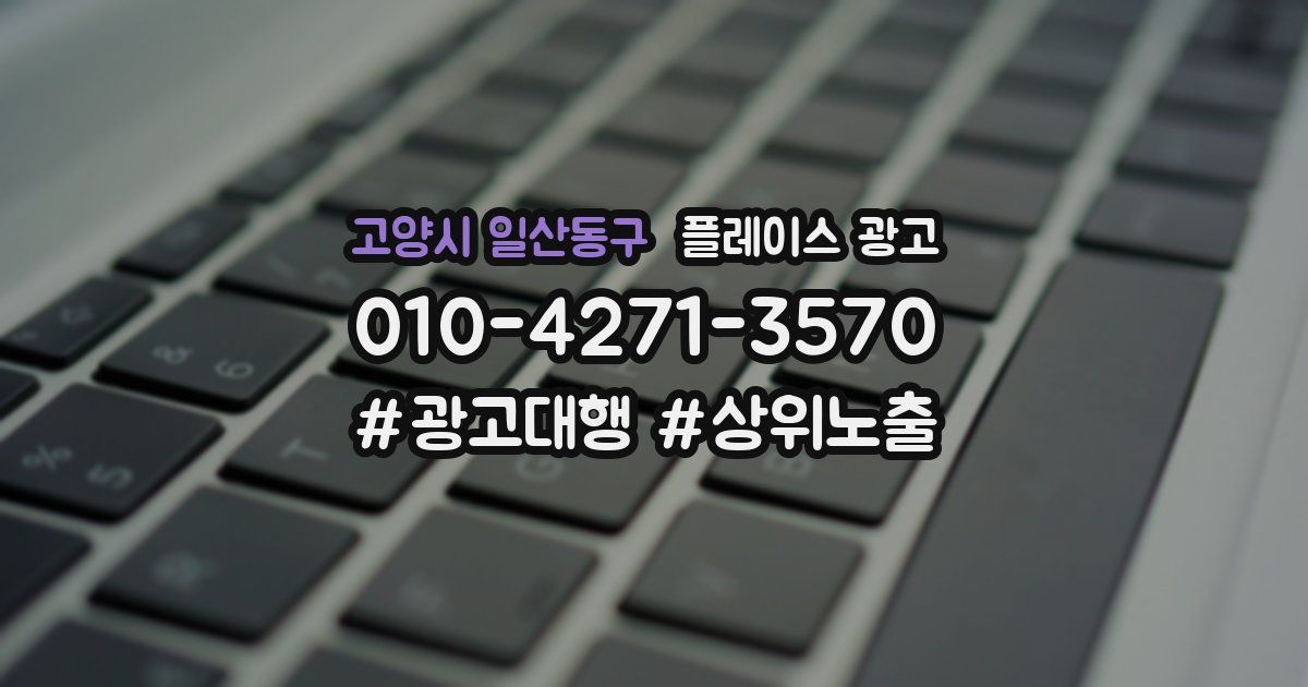 고양시 일산동구 플레이스 광고