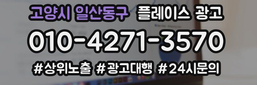 고양시 일산동구 플레이스 광고