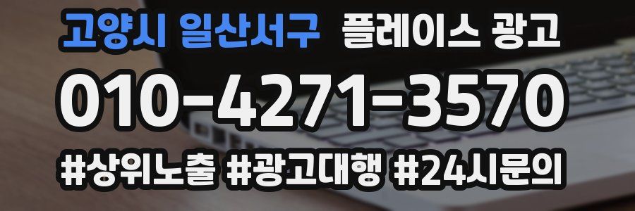 고양시 일산서구 플레이스 광고