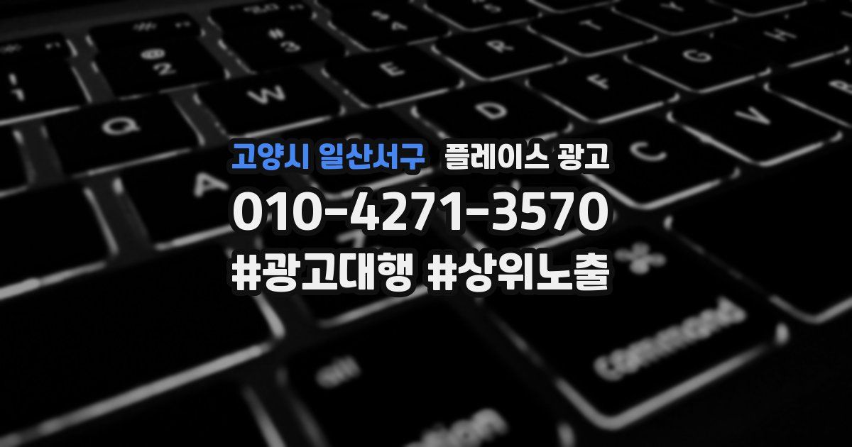 고양시 일산서구 플레이스 광고