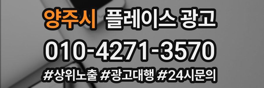 양주시 플레이스 광고