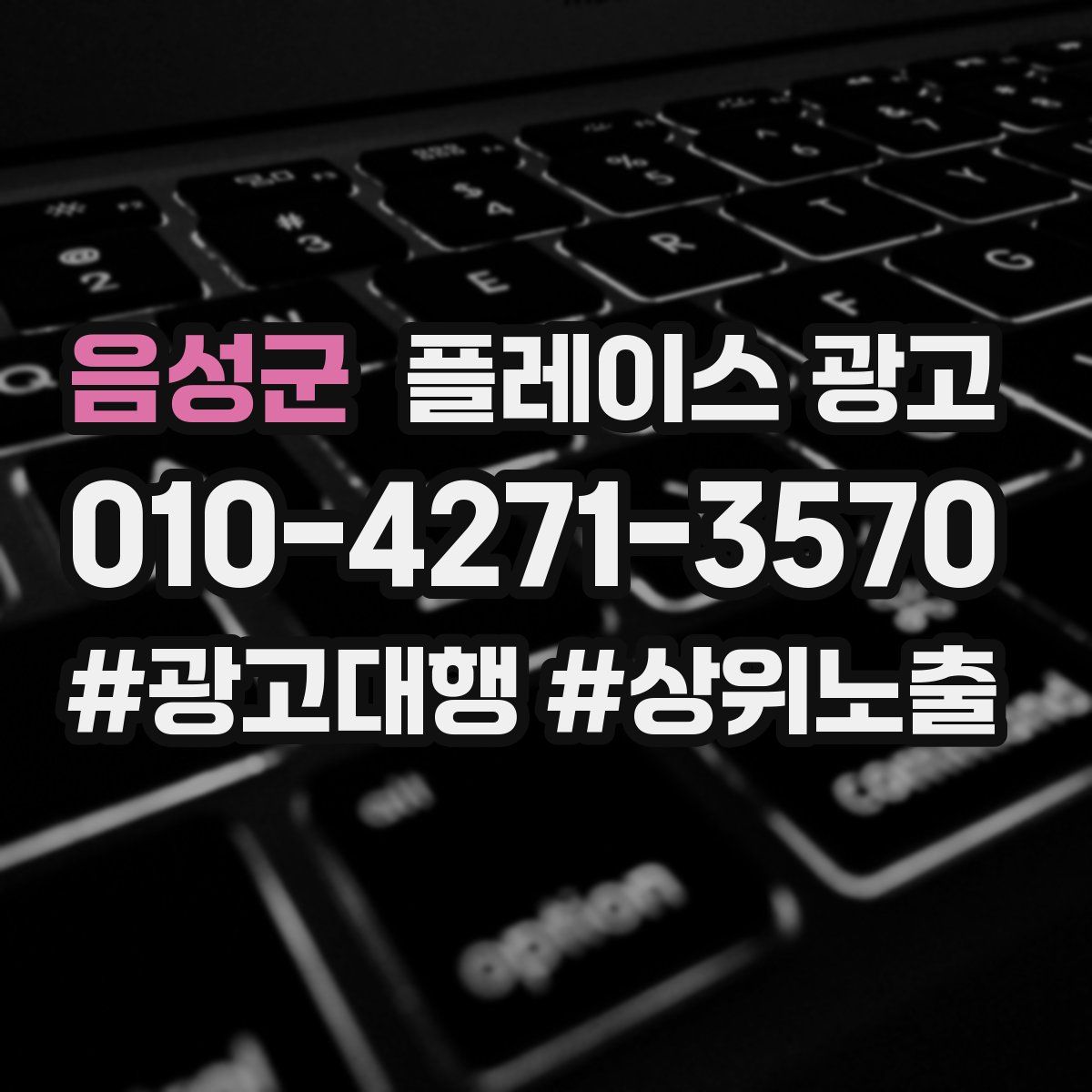 음성군 플레이스 광고