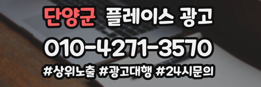단양군 플레이스 광고