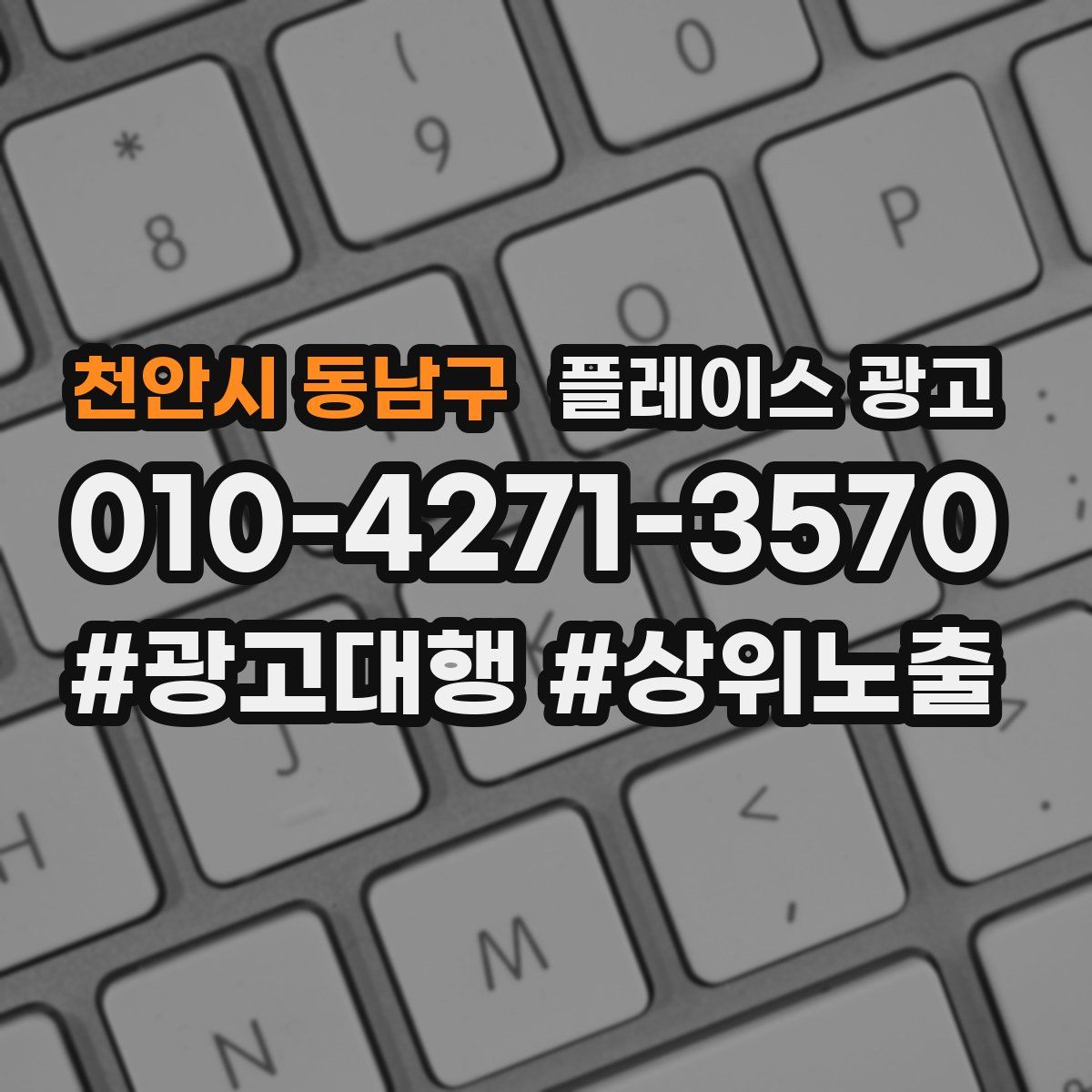 천안시 동남구 플레이스 광고
