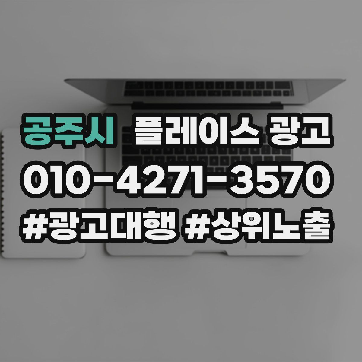 공주시 플레이스 광고