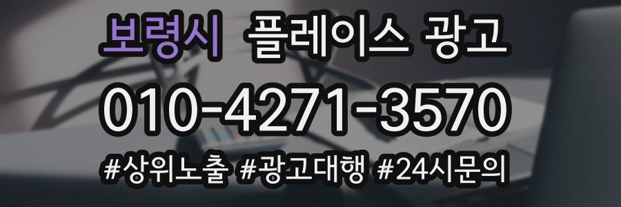 보령시 플레이스 광고