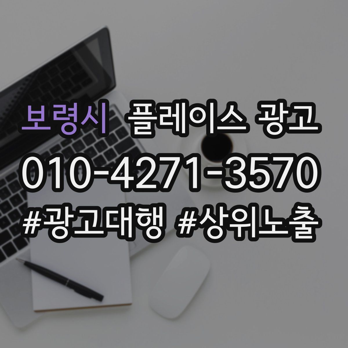 보령시 플레이스 광고