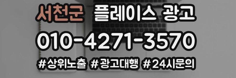 서천군 플레이스 광고