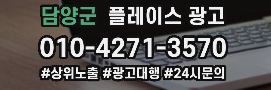 담양군 플레이스 광고
