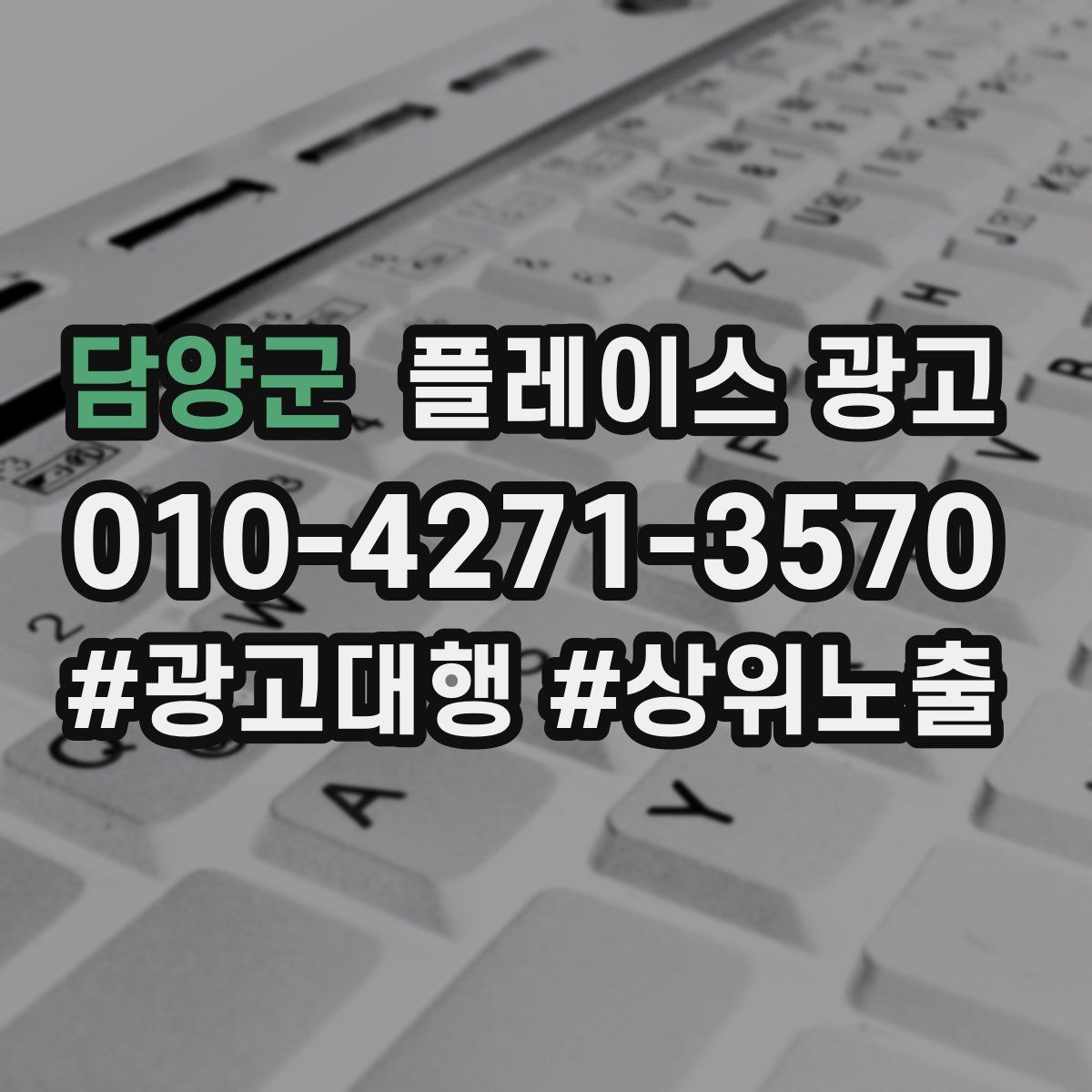 담양군 플레이스 광고