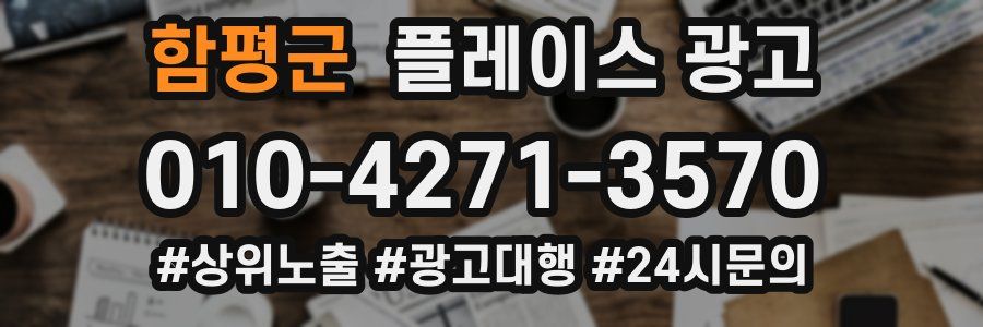 함평군 플레이스 광고