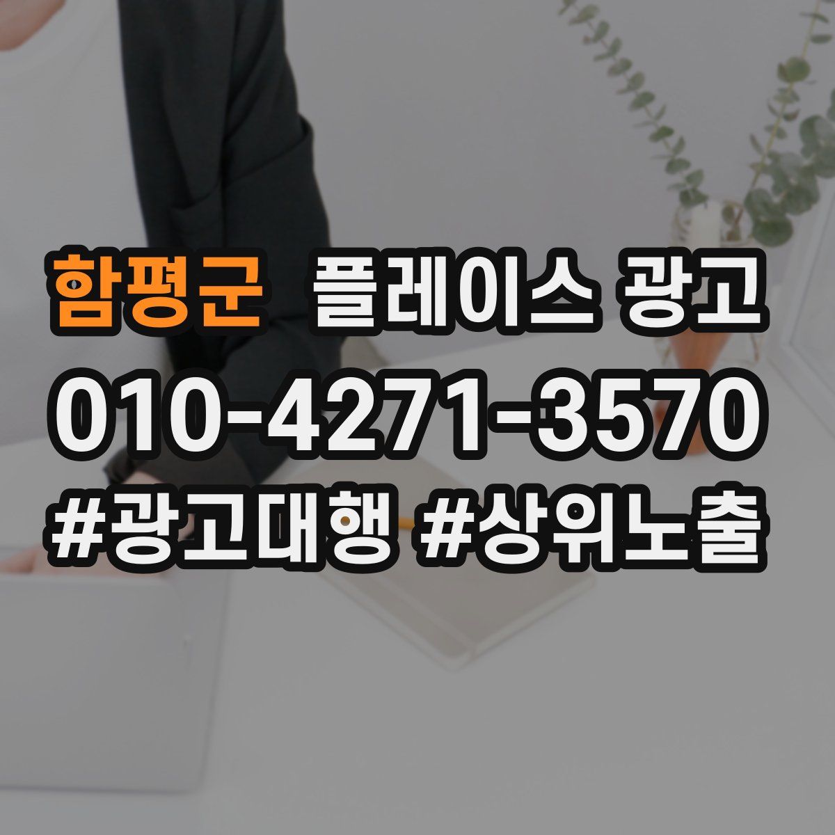 함평군 플레이스 광고
