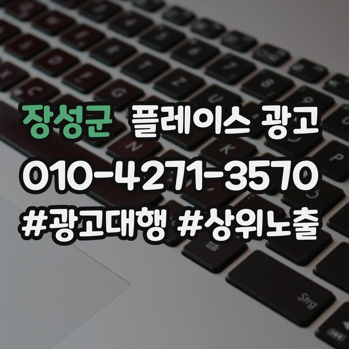 장성군 플레이스 광고