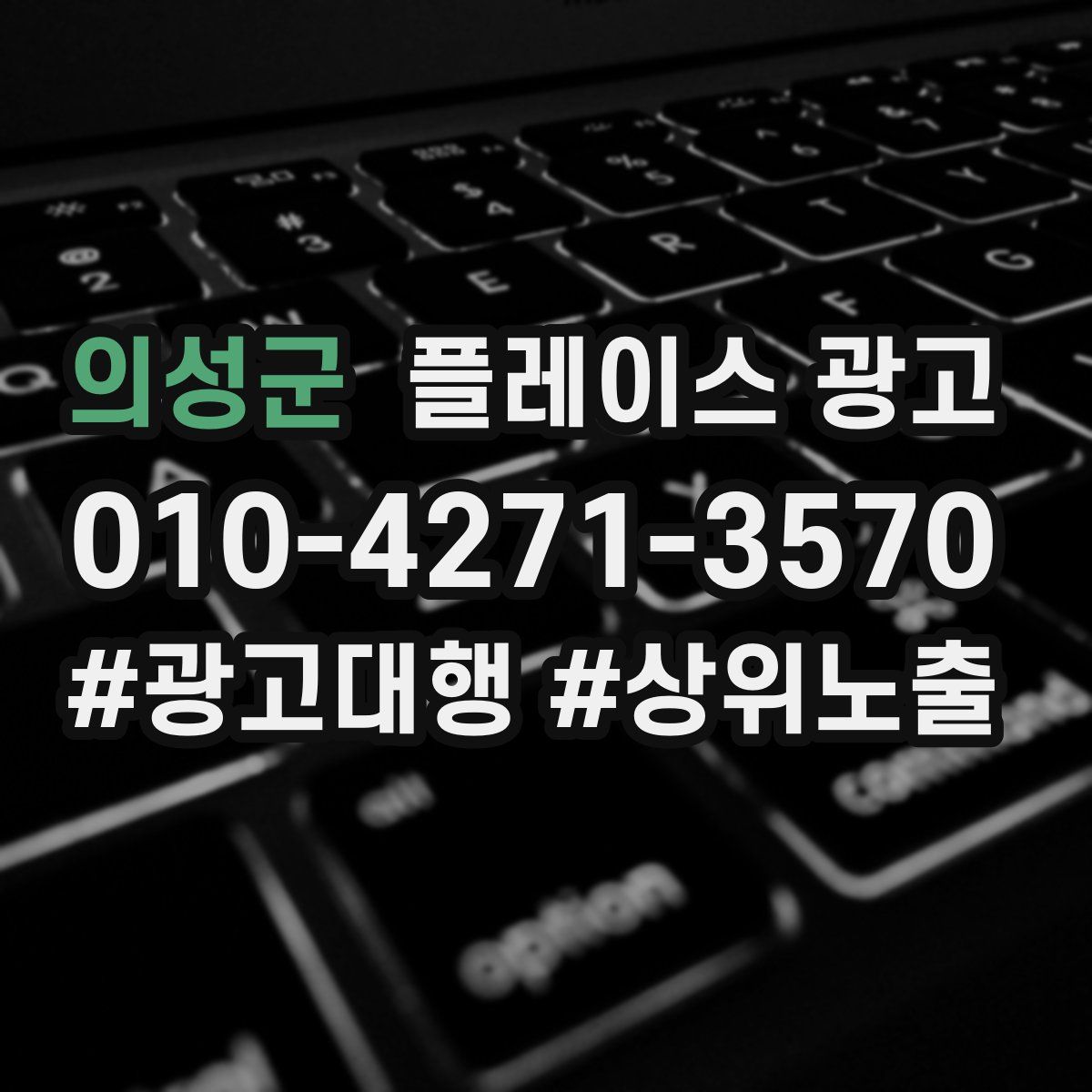 의성군 플레이스 광고