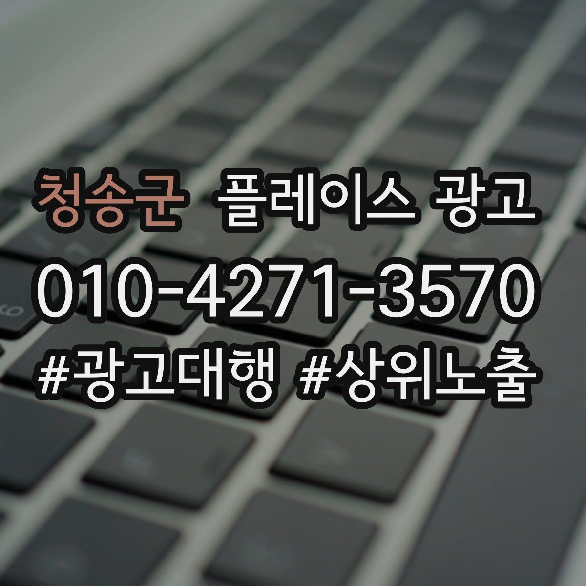 청송군 플레이스 광고