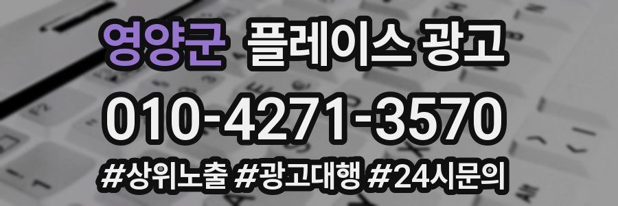 영양군 플레이스 광고