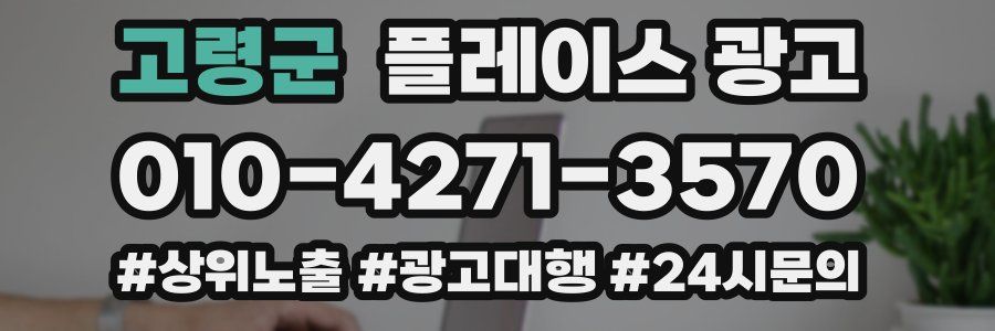 고령군 플레이스 광고