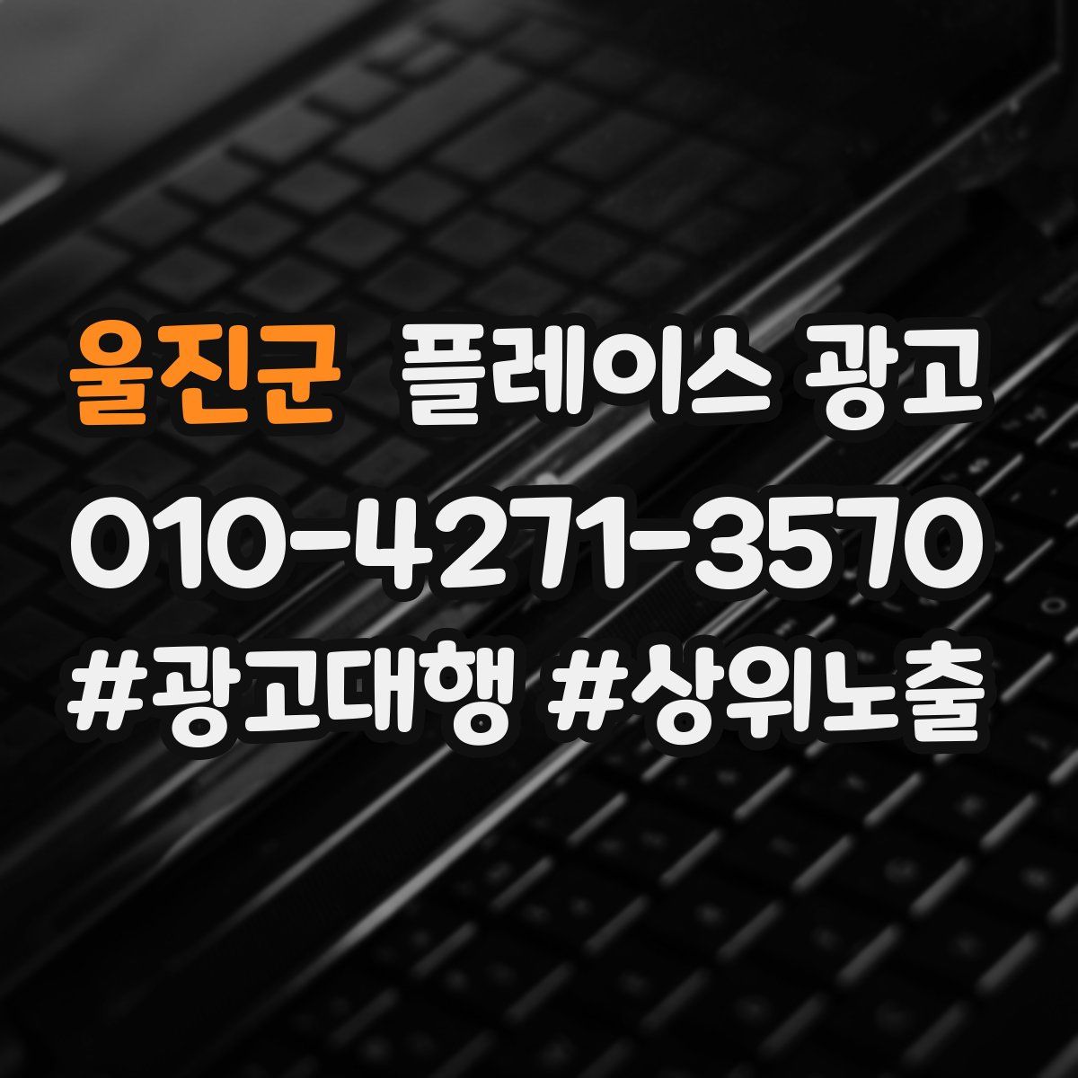 울진군 플레이스 광고