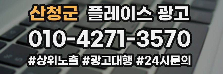 산청군 플레이스 광고