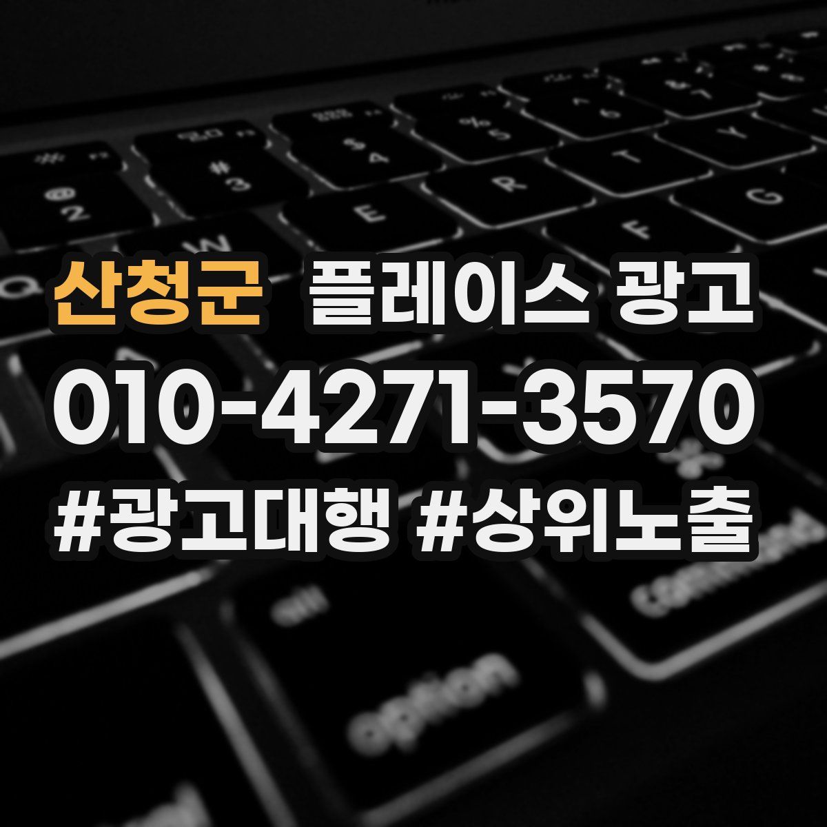 산청군 플레이스 광고
