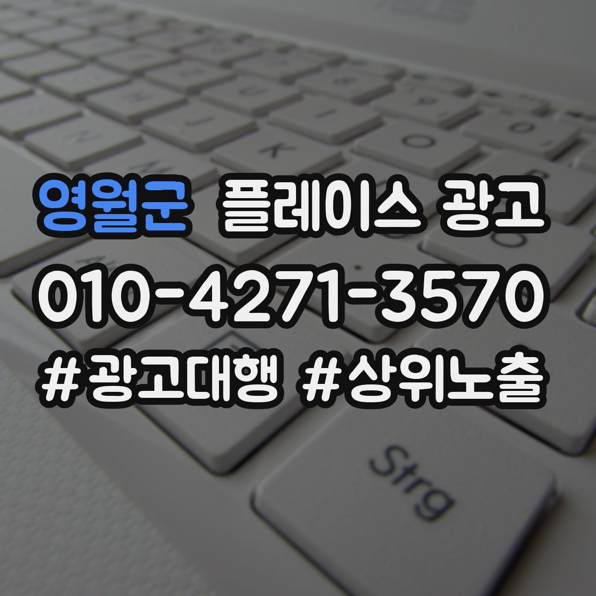 영월군 플레이스 광고