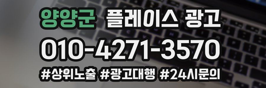 양양군 플레이스 광고
