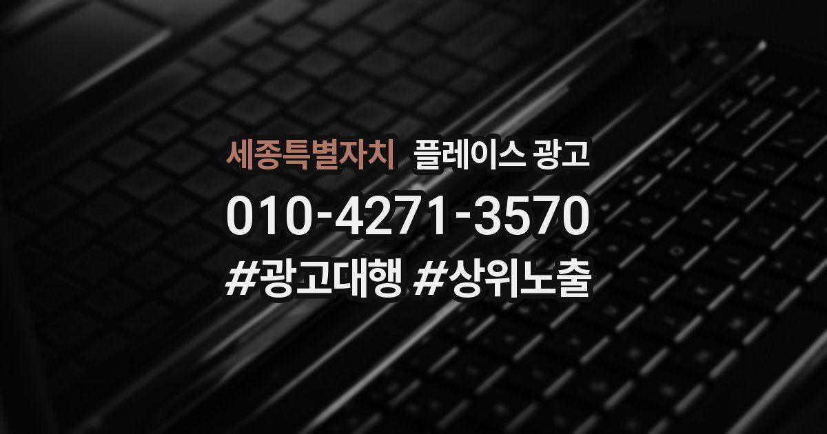세종특별자치 플레이스 광고