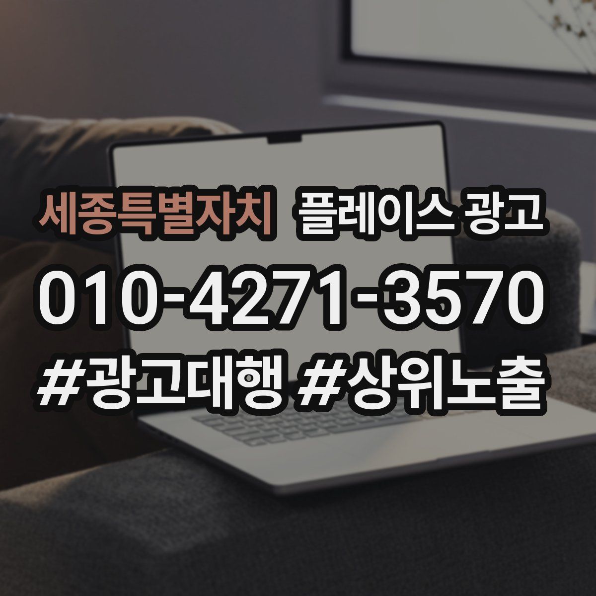 세종특별자치 플레이스 광고