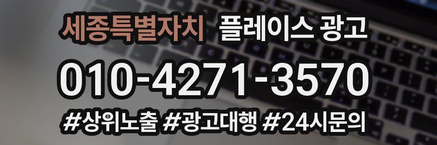 세종특별자치 플레이스 광고