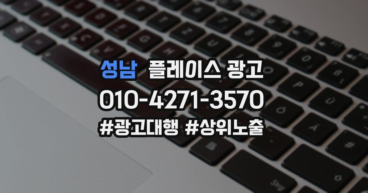 성남 플레이스 광고