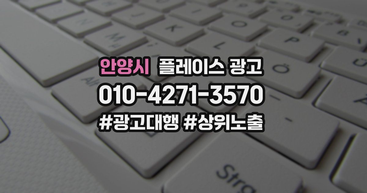 안양시 플레이스 광고