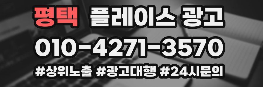 평택 플레이스 광고