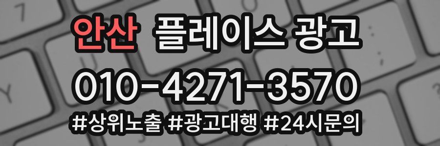 안산 플레이스 광고
