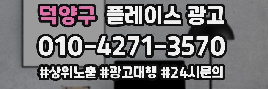 덕양구 플레이스 광고